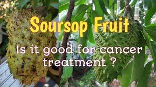 Soursop Fruit | Guyabano - Is it good for Cancer treatment #graviola #soursop #guyabano