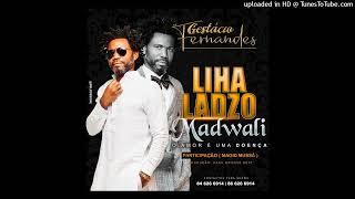 Gestacio Fernandes feat Magid Mussa - Lihaladzo Madwali