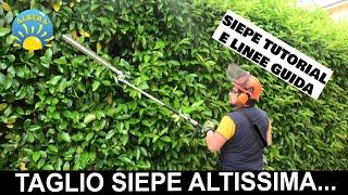 TUTORIAL POTATURA SIEPE (altissima quasi 4 metri) PROVA PRATICA DI TAGLIO da terra e LINEE GUIDA