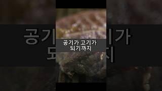 고기 중 질소의 50%를 만들어 낸 기술