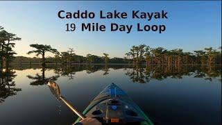 Caddo Lake Kayak 19 Mile Day Loop