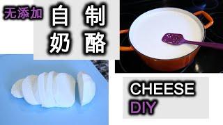 第一次奶酪制作 Mozzarella Cheese make