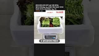 [청년프레쉬] 충북 충주 GAP 모듬 쌈채소 샐러드야채 600g 1kg 로메인 케일 양상추 치커리 적근대 적겨자, 모듬 쌈채소 1kg, 1개