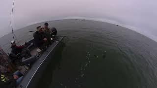 #salmon #fishing @insta360 #oneRS