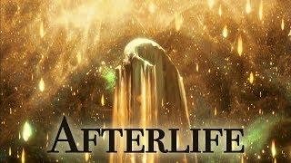 Near Death Experiences & Evidence of the Afterlife