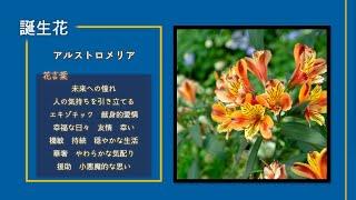 【今日は何の日？】2月18日まとめ、嫌煙運動の日、エアメールの日、冥王星の日、東京市電で車内禁煙を実施、第1回さっぽろ雪まつり開催、ハワイで世界初のトライアスロン開催