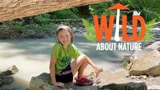 Wild About CincyNature Camps