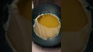 Rarest Egg in the World!