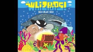 Manta Ray by The Whizpops!