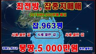 물번260번) 초 급매매,매입가의 절반,잡종지,963평 몽땅,5.000만원에 급매매합니다 2018년도 9.000만원에 매입 사정이 생겨서 어쩔 수 없이 싸게 매매합니다 계획관리지역