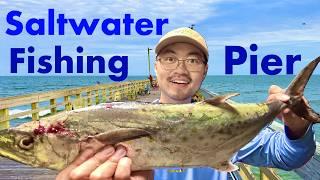 24 Hours of EXTREME Multi-Species Pier Fishing Mayhem!