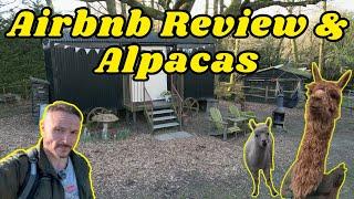 Airbnb review - Alpacas at "Bumble" The Shepherd's Hut Passfield