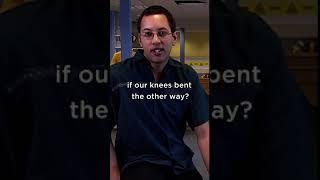 What would happen if your knees bent the wrong way?  #Brainiac #BritishTV #funny #science