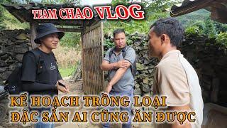 Kế hoạch khủng giúp bà con trồng loại đặc sản ai cũng ăn được Team Chao Vlog liệu có thành công !?