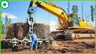 Most Extreme Dangerous Fastest Big Chainsaw Cutting Tree Machines | Best of Week