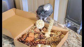 Natural Bird Foraging & Parrot Shredding Toys Box | Perfect For Parakeets, Conures & Cockatiels