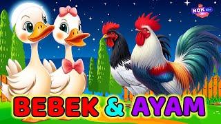 Lagu Anak  Potong Bebek Angsa - Kukuruyuk Lagu Anak Balita Populer, Animasi Bebek Dan Ayam