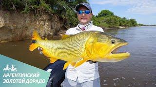 Рыболовный круиз за золотым дорадо c Royal Safari
