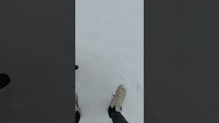 Куда меня занесло? #турция #shorts #снег
