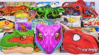Jurassic World Toys Unboxing Review ASMR | Head Dinosaur Mystery Box ,Dinosaur Tools, Giganotosaurus