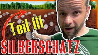 SILBERSCHATZ vom LECHFELD immer MEHR MÜNZEN - sondeln mit Lechsonde - metaldetecting