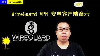 #067 WireGuard 在安卓手机客户端演示