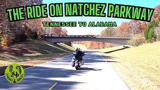 Explore the Natchez Trace: motorcycle ride TN to AL #harleydavidson #2up