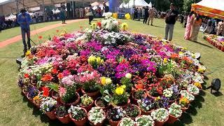 Flower show (SPRING FESTIVAL) || Dehradun||VANMAHOTSAV 2022|| RAJBHAVAN