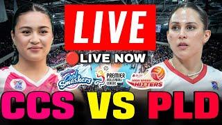 CREAMLINE VS. PLDT LIVE NOW - JULY 16, 2024 | PVL REINFORCED CONFERENCE 2024 #pvl2024 #pvllivetoday