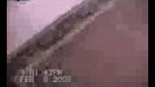 Wery Scary computer game..