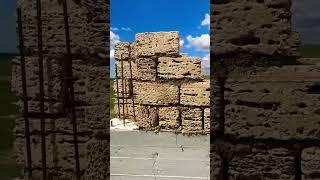 #ракушка #стены #стройка #строительсводома  Как правильно класть ракушку ? #камень #крым #построимдо