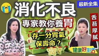 健康好生活  20220518  「消化不良」百病生！專家教你真正的「養胃」