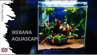 Ikebana Tank Overview | My Favourite Fish Tank