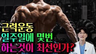 [철저한 논문근거!]매일운동 vs 격일운동 트레이너 겸 의사가 fact만 전달 드립니다