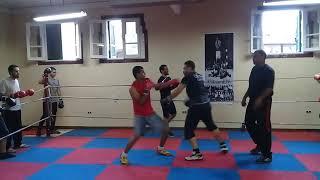 Boxing in Egypt mohamed nasr vs kareem