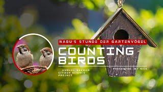 Hour of the Garden Birds - The NABU Citizen Science Project Explained.