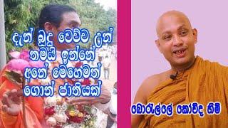 දැන් බුදු වෙච්ච උන් තමයි ඉන්නේ. අනේ මෙහෙමත් ගොන් ජාතියක් | boralle kovida himi