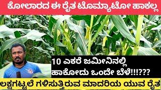 ಸ್ವೀಟ್ ಕಾರ್ನ್  ,ರೈತ ,ಕೋಲಾರ #SWEET CORN#KOLAR FARMER #INNOVATIVE FARMER#