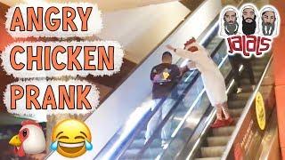 JALALS' ANGRY CHICKEN PRANK!
