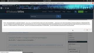 REFLECTED XSS BUG POC IN RELEASEWIRE.COM