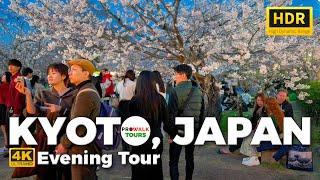 Cherry Blossom & Food Festival - Kyoto, Japan  4K60fps (Binaural Audio:ASMR)