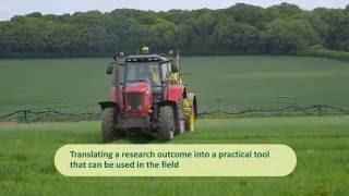 Rothamsted Research and Syngenta collaborate on wheat research