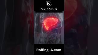 Visceral Manipulation for Liver Health | Natania Goldberg, Certified Rolfer in Santa Monica