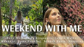 Weekend Vlog in Singapore: Jungle Walks to See Monkeys, Home Cooking, Padel, Shopping, BEST Brunch