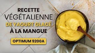 Yaourt glacé végétalien que vous allez adorer| Optimum 9200A