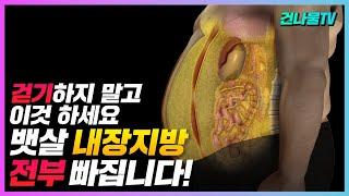 굶지않고 뱃살 내장지방 빼는 방법! 팔 다리는 가는데 유독 배만 튀어나온 복부비만 이라면 꼭 보세요!