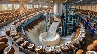 Millions Tons Of Coconut Oil Are Processed Into Coconut Milk At Factory - Coco Coir Technology