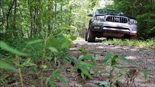 Forest Service 4WD Road 98 - Chattahoochee National Forest