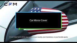 Car Mirror Cover