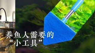 这些水族工具虽“小”，但养鱼人必须要有，让你事半功倍